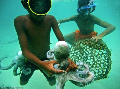 漂泊與連接 巴夭人的海上日常與現(xiàn)代陸路國(guó)際貨運(yùn)代理業(yè)務(wù)