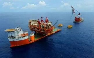 碧海藍(lán)天間的“巨樹(shù)”如何生根——揭秘海上風(fēng)電場(chǎng)的建設(shè)全過(guò)程